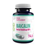 Hepatica Baikal-Helmkraut