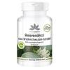 Resveratrol 500 mg von Herba Direct
