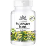 Herba Direkt Rosenwurz Extrakt