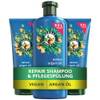 Repair Shampoo und Conditioner von Herbal Essences