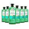 Repair & Smooth Shampoo von Herbal Essences
