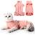 Heywean Katzenbody