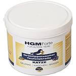 Hgm Grünlippmuschel Katze