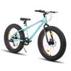 Fat Tire von HH HILAND