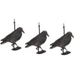 Hillfield EAN 4260264313001 Hillfield