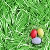 Ostergras von Hillylolly