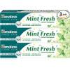 Kräutertees Minze Fresh Gum Experte Zahnpasta von Himalaya