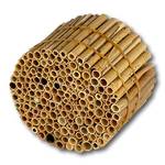 Hiss Reet Schilfrohrhalme, medium