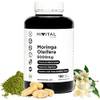 Moringa Oleifera von Hivital Foods