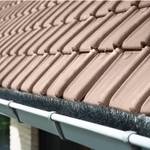 Hochepied Bvba Dachrinnenbürste