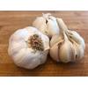 Pflanzknoblauch Messidrome von Hoffmeyer
