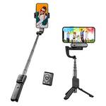 Hohem iSteady Q-Black