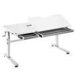 Hoko Ergo-Study-Table Compakt Plus