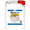 Holzentgrauer von Kora Koralan