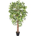 Homescapes Kunstbaum Ficus benjamina