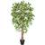 Homescapes Kunstbaum Ficus benjamina