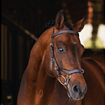 Horseware Rambo Micklem Multibridle