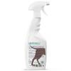 Entfilzungsspray von Hundepflege24