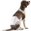 Hundewickel für Rüden von Amazon Basics