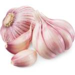 Hymor Violetter Knoblauch