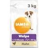 Welpe Huhn von IAMS for Vitality