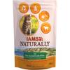 T81601246 von Iams
