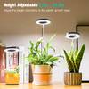 Pflanzenlampe von Idealife