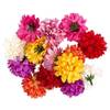 Deko-Blüten von Ideen mit Herz
