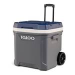 Igloo Maxcold 62