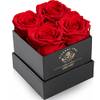 Rosenbox von Impouo