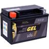 GEL12-9-BS von Intact