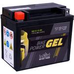 Intact GEL12-12-BS