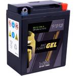 Intact GEL12-12AL-A