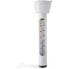 Pool Thermometer von Intex