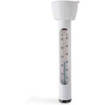 Intex Pool Thermometer