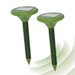 Isotronic Solar LED Maulwurfabwehr