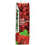 Jacoby Johannisbeernektar rot