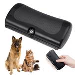 Jinsion Hundebürste