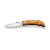 Pointer von Joker