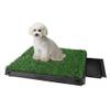 Rasen Hundetoilette von JUEYAN