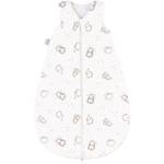 Julius Zöllner Igelchen