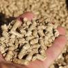 Miscanthus Pellets von Jumbogras