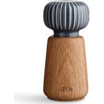 Kähler Hammershøi Mühle