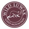Kopi Luwak Wildkaffee von KaffeeShop 24