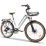 Kaisda Electric Bike
