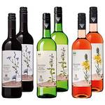 Kaiserstühler Winzerverein Oberrotweil Bio Wein Probierpaket
