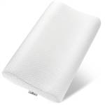 Kaiserwerk Kopfkissen