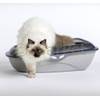 Katzentoilette XXL b19110 von Bama Spa