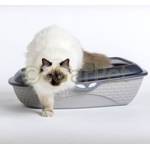 Bama Spa Katzentoilette XXL b19110