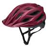 Companion MTB von KED
